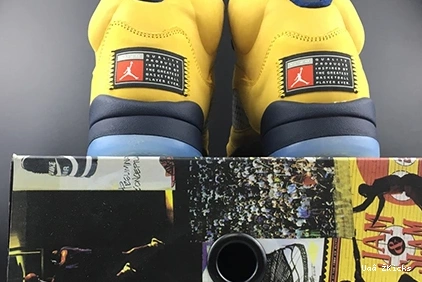 MICHIGAN RETRO 604 CQ9541-704 - AllSeason JORDAN 5 (2019) 0710